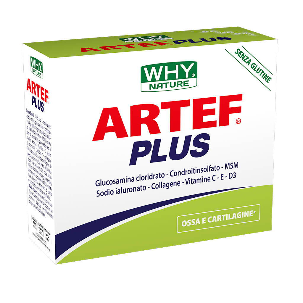 ARTEF PLUS