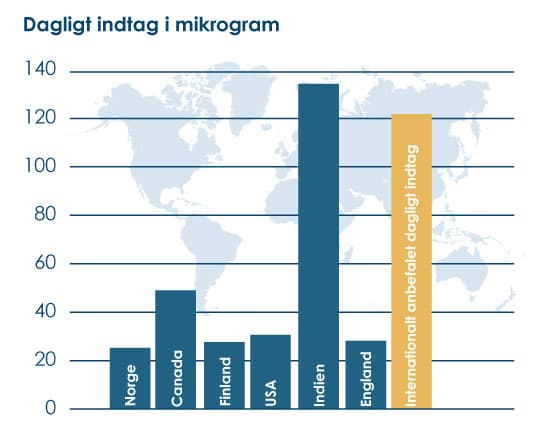 Dagligt indtag i mikrogram
